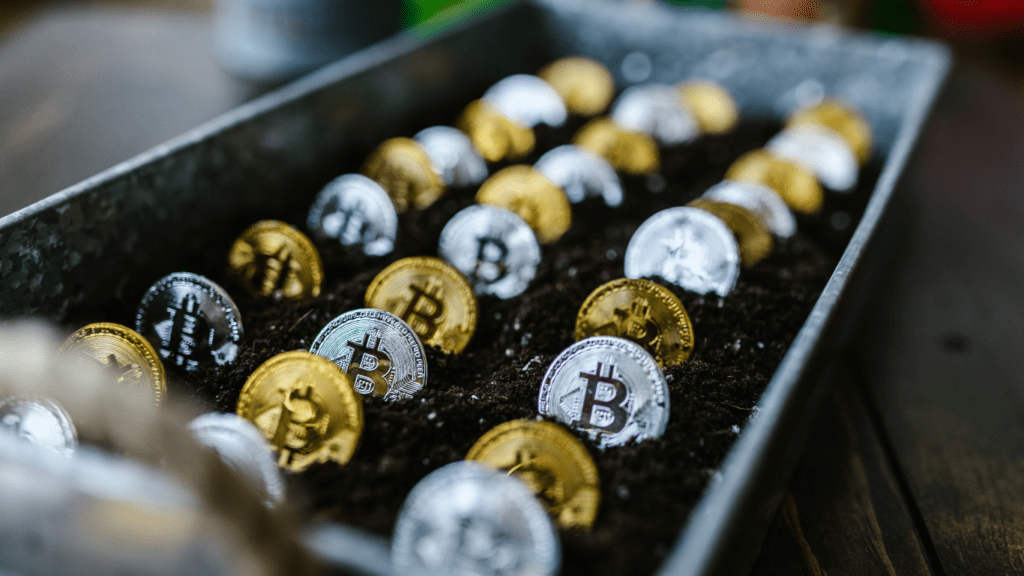 Bitcoin buried on soil