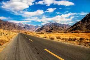 discuss the interdependence of the components of wellness.