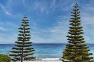 layered hairstyles round face double chin medium length hairstyles