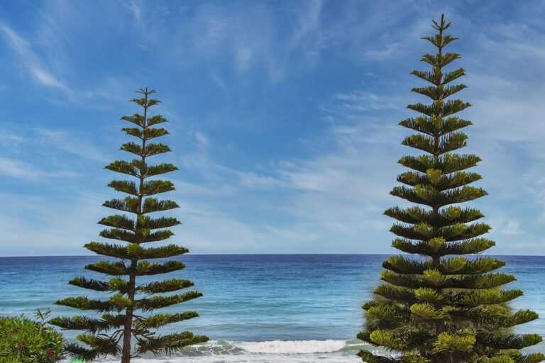 layered hairstyles round face double chin medium length hairstyles