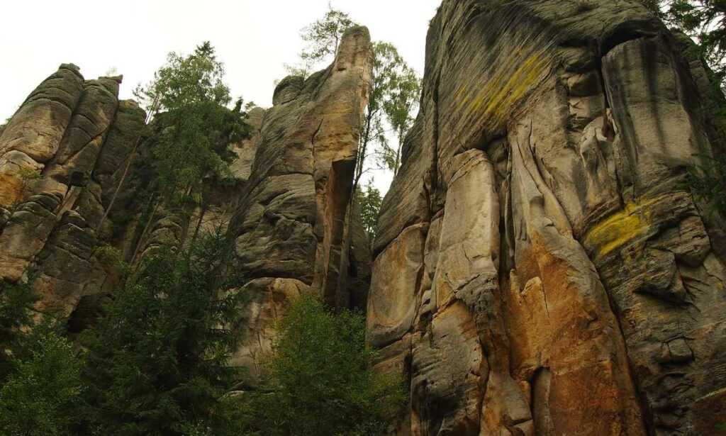 can i stream greensurvive2004 game on pc