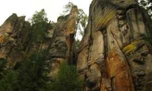 can i stream greensurvive2004 game on pc