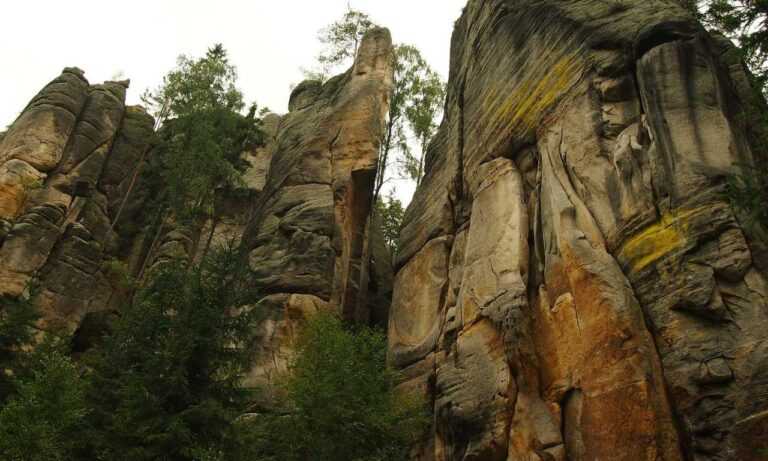 can i stream greensurvive2004 game on pc