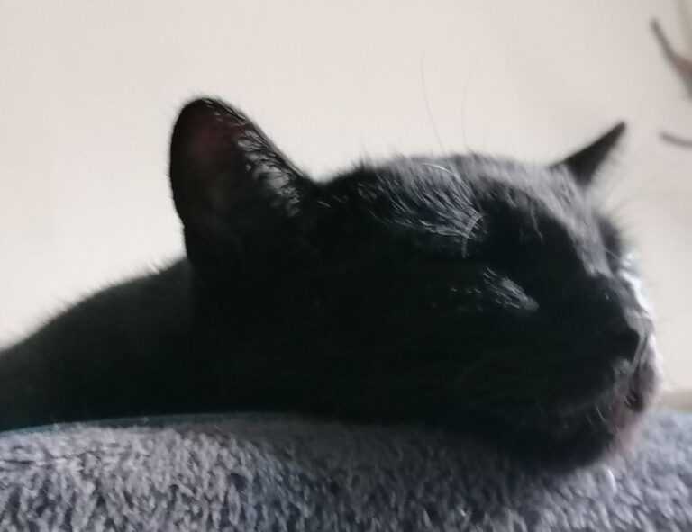 is yumkugu difficult to digest