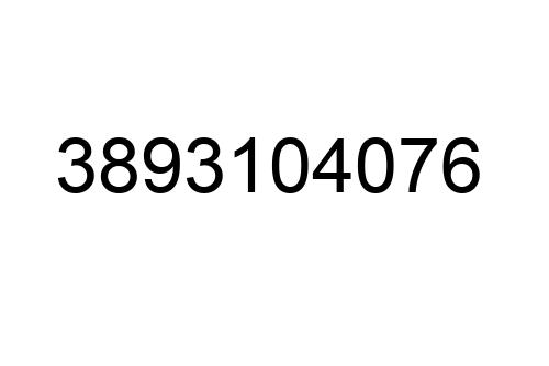3893104076