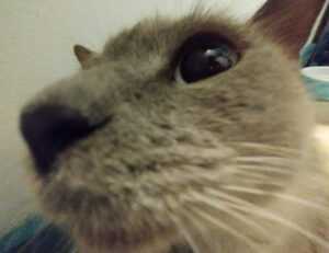 kerri gribble only fans leak