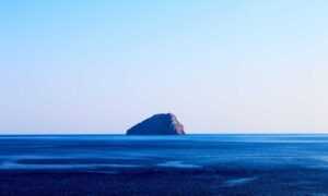 kleurplaat paperduck