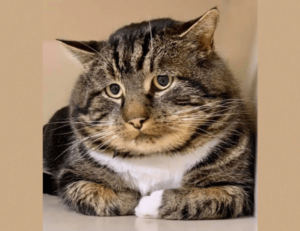 naughtynina001 leaked