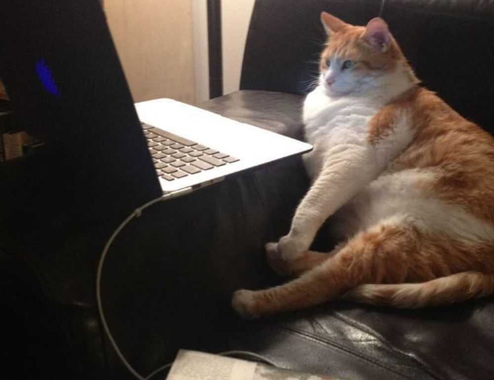 sophie stonehouse onlyfans