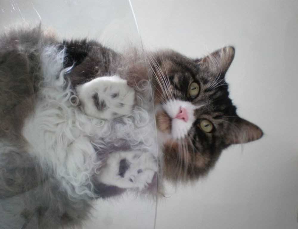 sxx sxx syy calculator excel