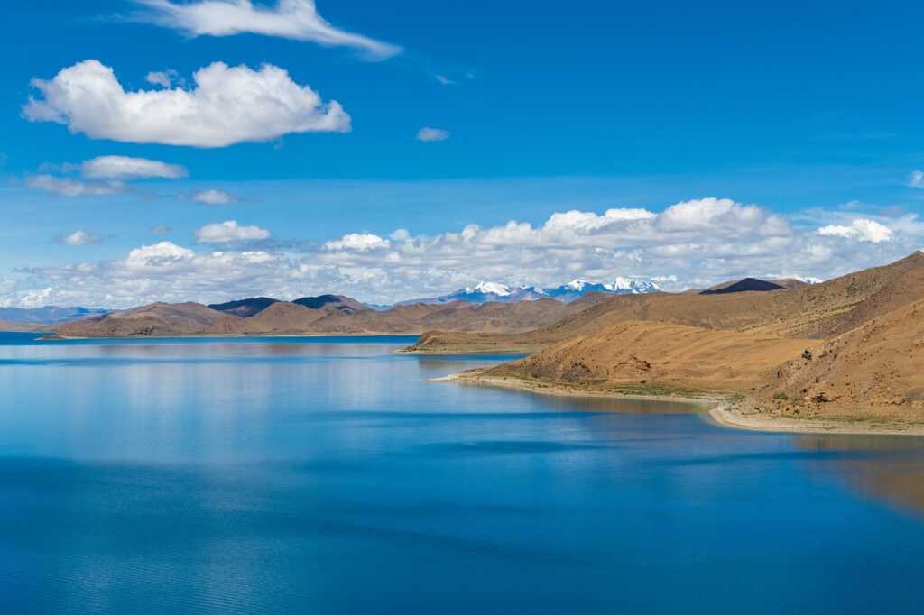 vampiro cartel de cali