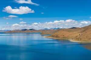 vampiro cartel de cali