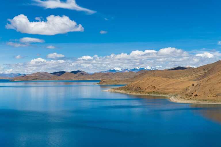 vampiro cartel de cali