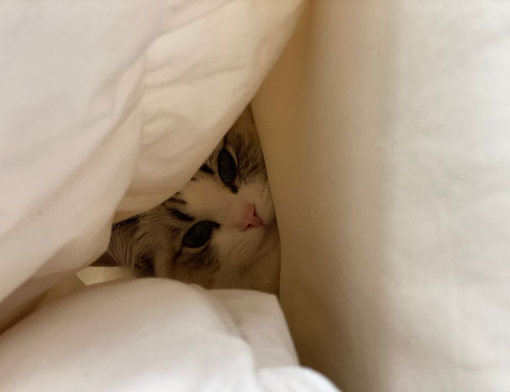 wirid hari senin sampai minggu