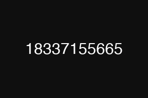 18337155665
