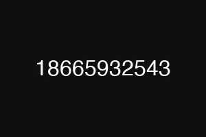18665932543