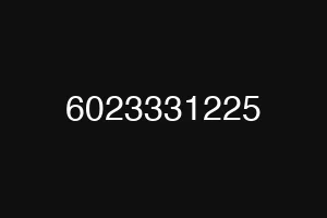 6023331225