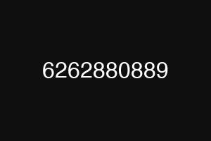 6262880889