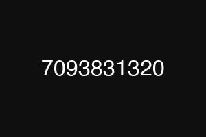 7093831320