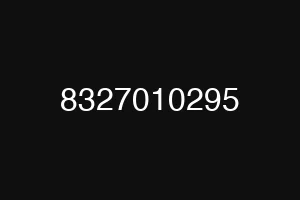 8327010295