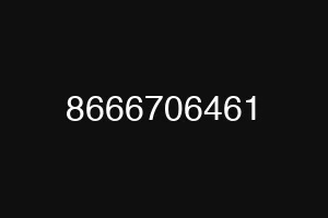 8666706461