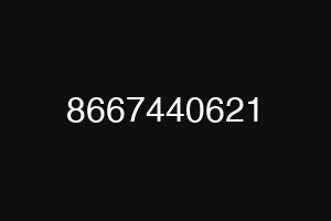 8667440621