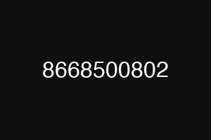 8668500802