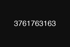3761763163