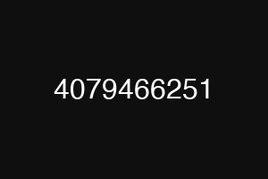 4079466251