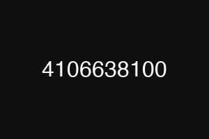4106638100