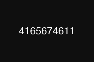 4165674611