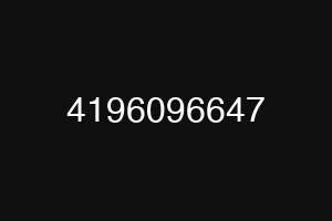 4196096647
