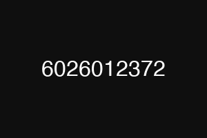 6026012372