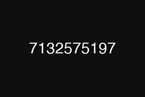 7132575197