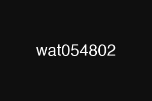 wat054802