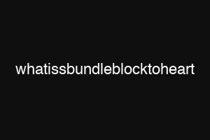 whatissbundleblocktoheart