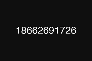 18662691726
