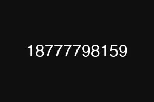 18777798159