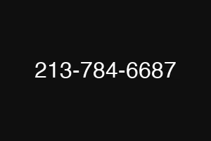 213-784-6687