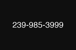 239-985-3999
