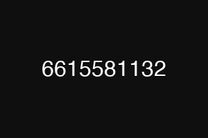 6615581132