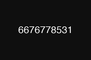 6676778531