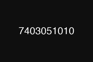 7403051010