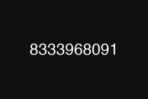 8333968091
