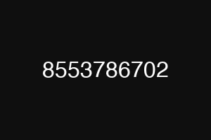 8553786702