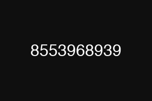 8553968939
