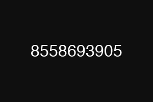 8558693905
