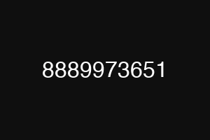 8889973651