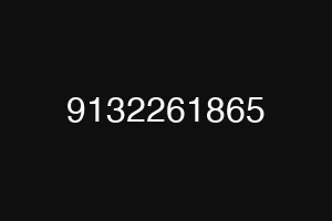 9132261865